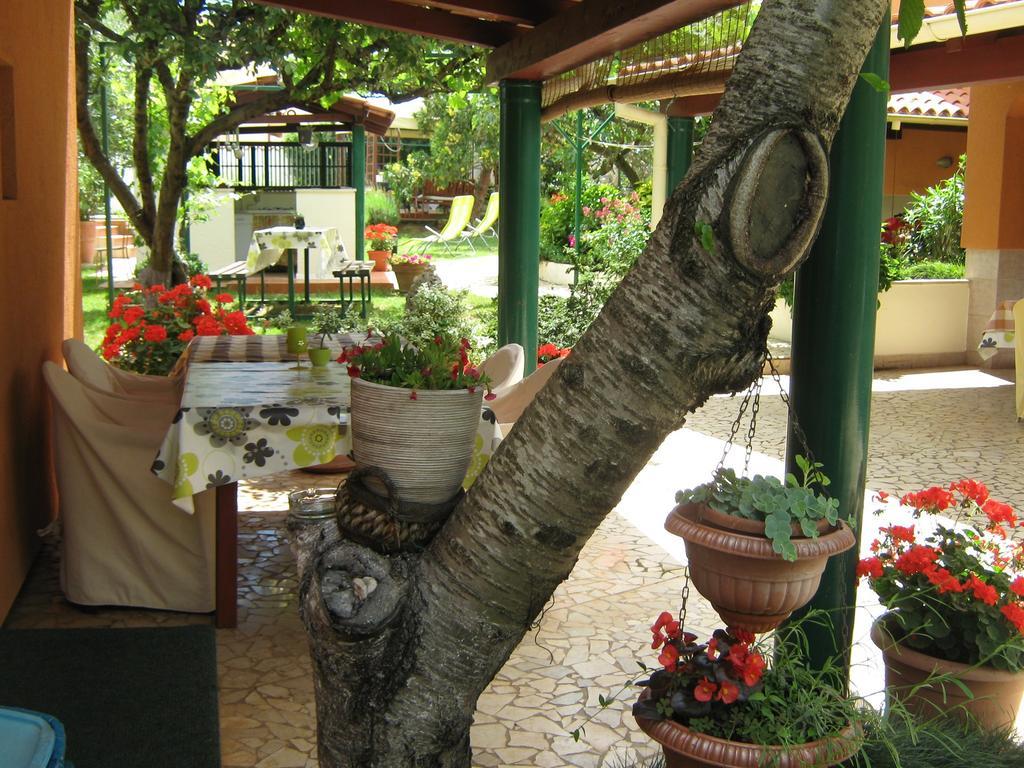 Guest House Bizjak Vinkuran Exterior foto